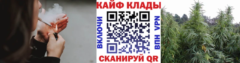 Какие есть наркотики Кашин АМФЕТАМИН ГАШИШ