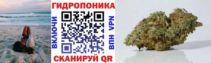 Марихуана White Widow  кракен онион  Кашин 